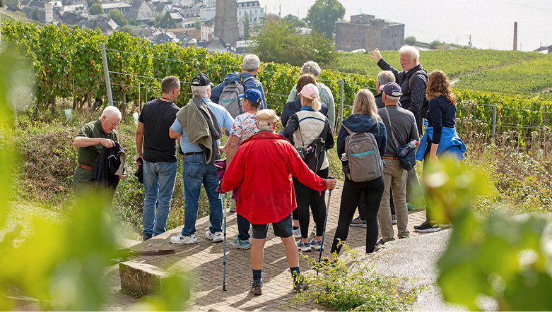 Tour group with tour guide at a vineyard