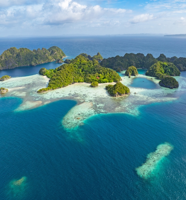 Aerial shot of Raja Ampat islands in Indonesia